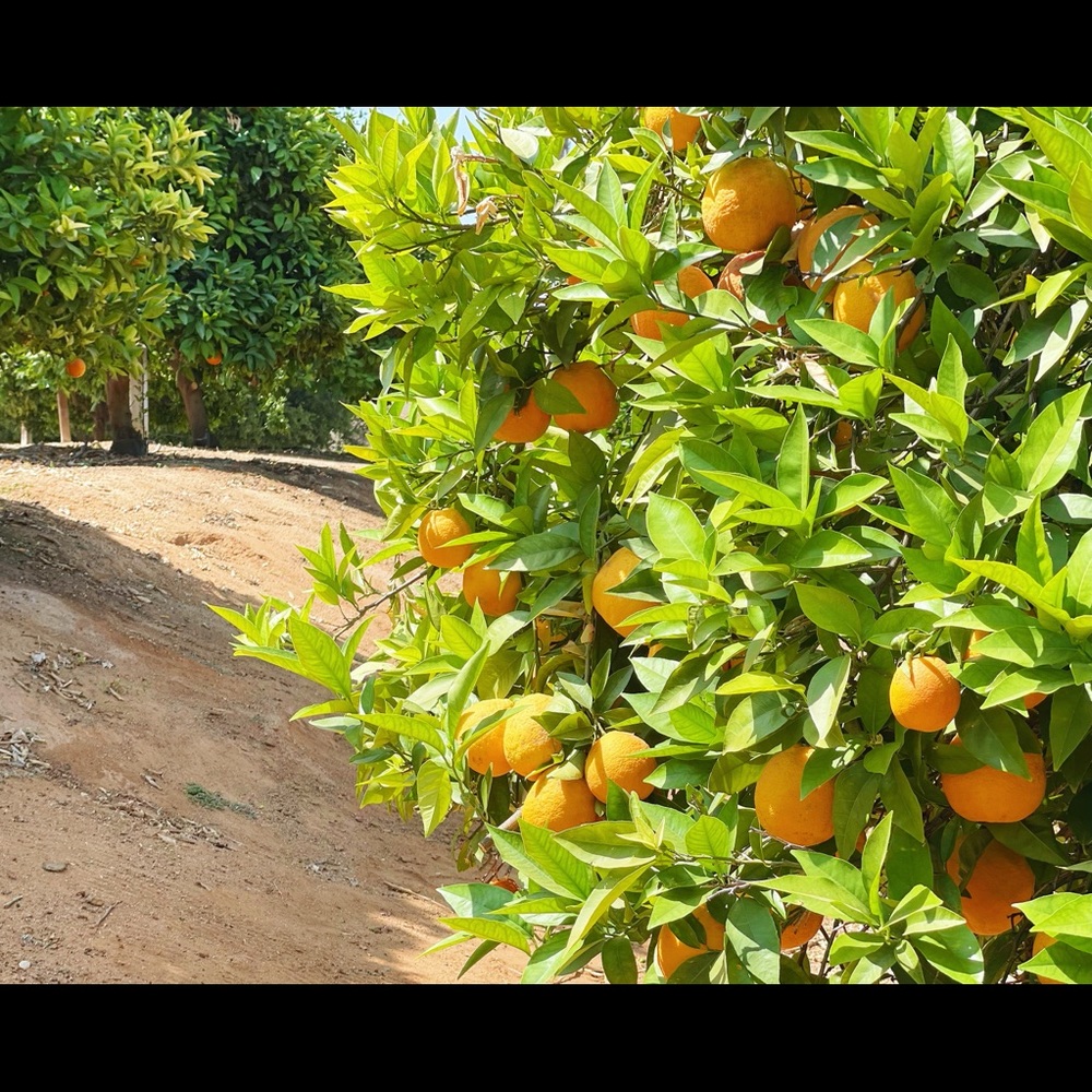 Meet your Posher, 冉